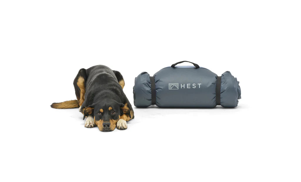 Hest Dog Bed