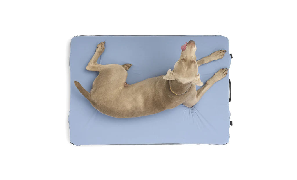 Hest Dog Bed