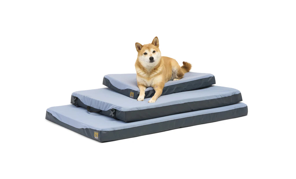 Hest Dog Bed